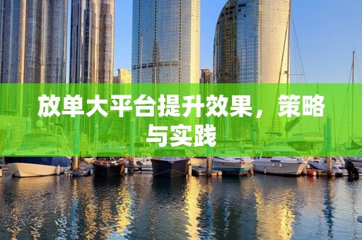 放单大平台提升效果，策略与实践