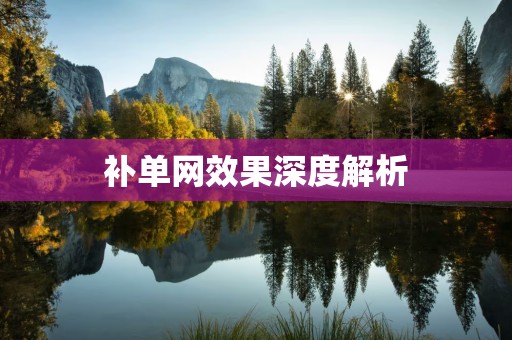 补单网效果深度解析