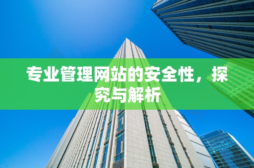 专业管理网站的安全性，探究与解析