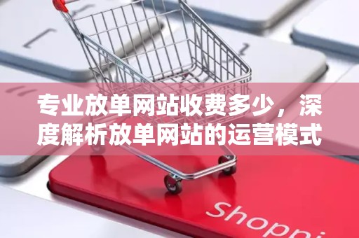 专业放单网站收费多少，深度解析放单网站的运营模式与费用结构