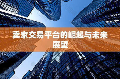 卖家交易平台的崛起与未来展望
