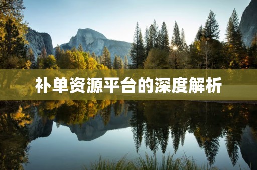 补单资源平台的深度解析