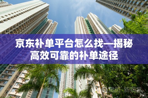 京东补单平台怎么找—揭秘高效可靠的补单途径
