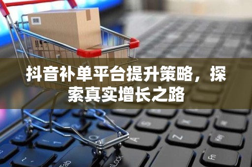 抖音补单平台提升策略，探索真实增长之路