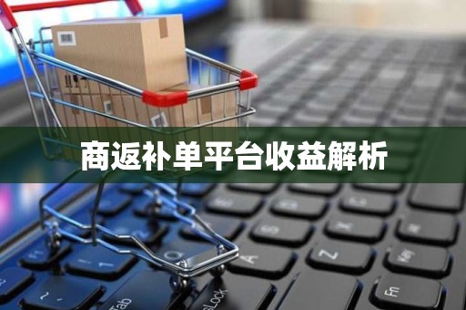 商返补单平台收益解析