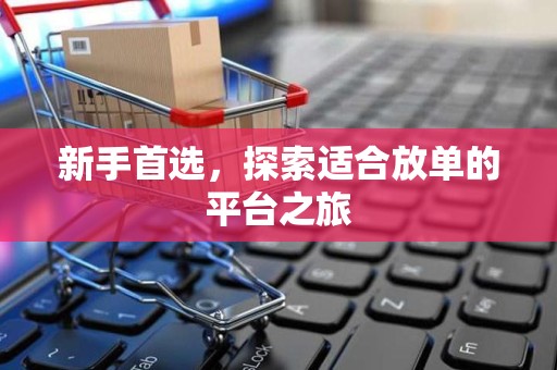 新手首选，探索适合放单的平台之旅