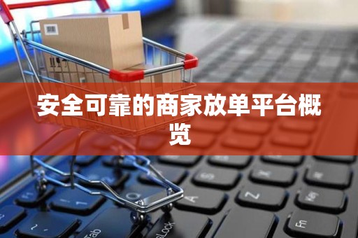 安全可靠的商家放单平台概览