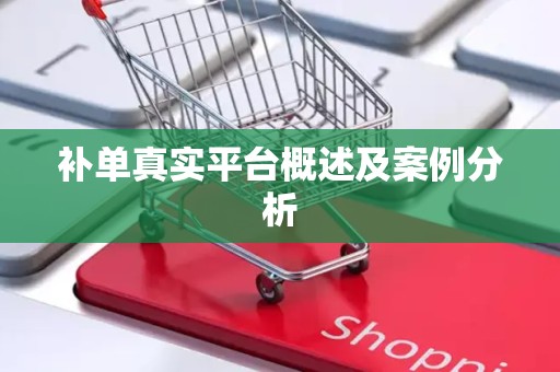 补单真实平台概述及案例分析