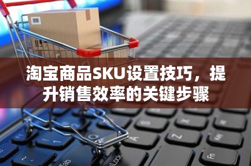淘宝商品SKU设置技巧，提升销售效率的关键步骤