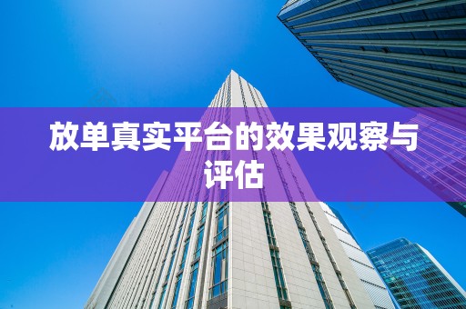 放单真实平台的效果观察与评估