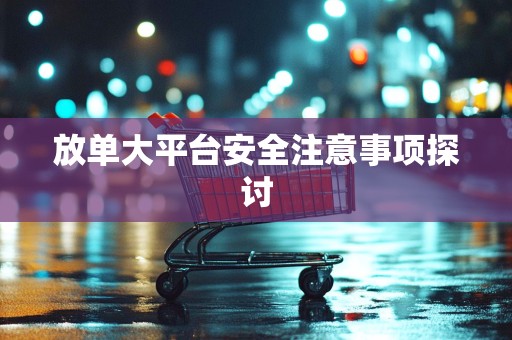 放单大平台安全注意事项探讨