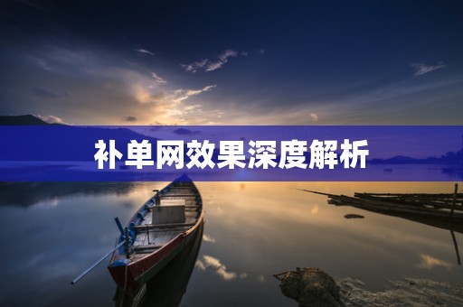 补单网效果深度解析
