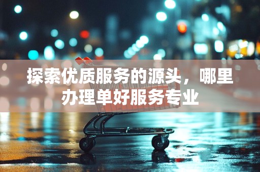 探索优质服务的源头，哪里办理单好服务专业