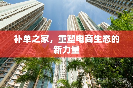 补单之家，重塑电商生态的新力量