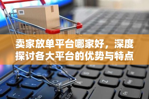 卖家放单平台哪家好，深度探讨各大平台的优势与特点