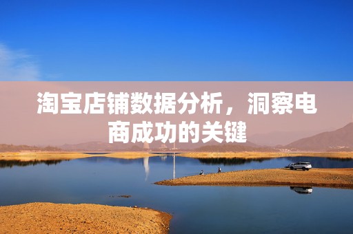 淘宝店铺数据分析，洞察电商成功的关键