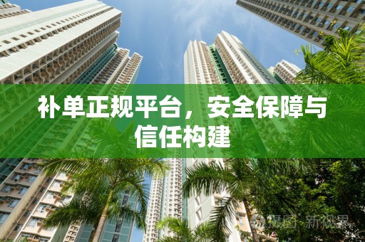 补单正规平台，安全保障与信任构建