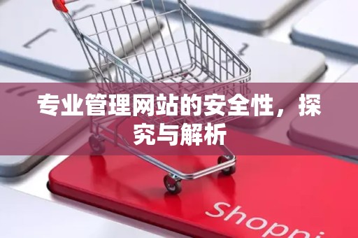 专业管理网站的安全性，探究与解析