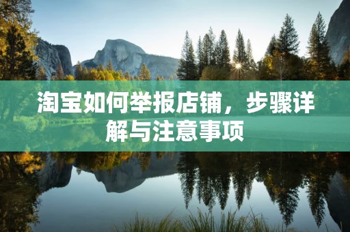 淘宝如何举报店铺，步骤详解与注意事项