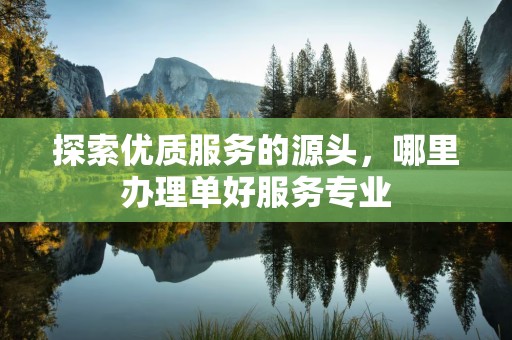 探索优质服务的源头，哪里办理单好服务专业