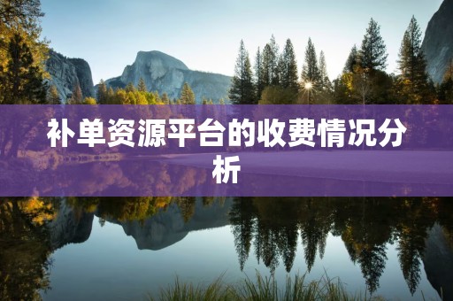 补单资源平台的收费情况分析
