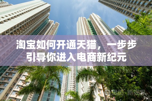淘宝如何开通天猫，一步步引导你进入电商新纪元