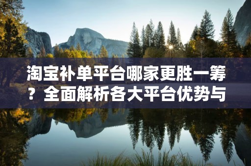 淘宝补单平台哪家更胜一筹？全面解析各大平台优势与特点