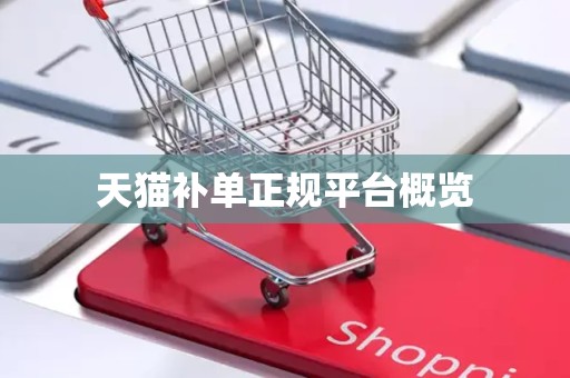 天猫补单正规平台概览