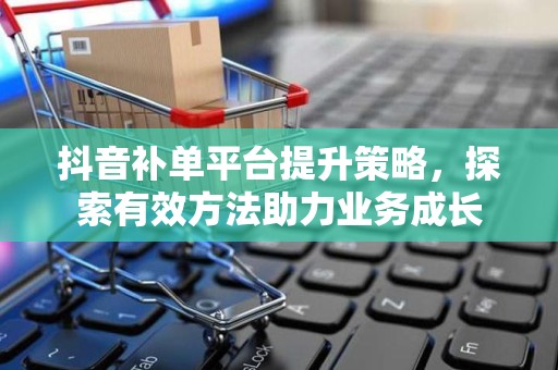 抖音补单平台提升策略，探索有效方法助力业务成长