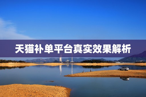天猫补单平台真实效果解析