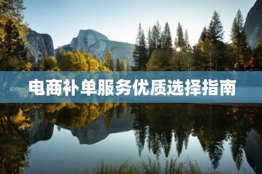 电商补单服务优质选择指南