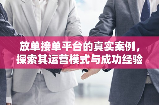 放单接单平台的真实案例，探索其运营模式与成功经验