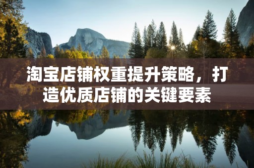 淘宝店铺权重提升策略，打造优质店铺的关键要素