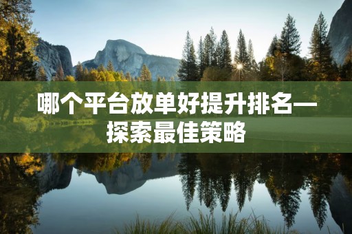 哪个平台放单好提升排名—探索最佳策略