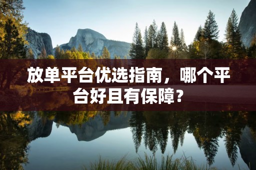 放单平台优选指南，哪个平台好且有保障？