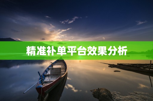 精准补单平台效果分析