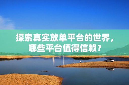 探索真实放单平台的世界，哪些平台值得信赖？