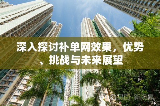 深入探讨补单网效果，优势、挑战与未来展望