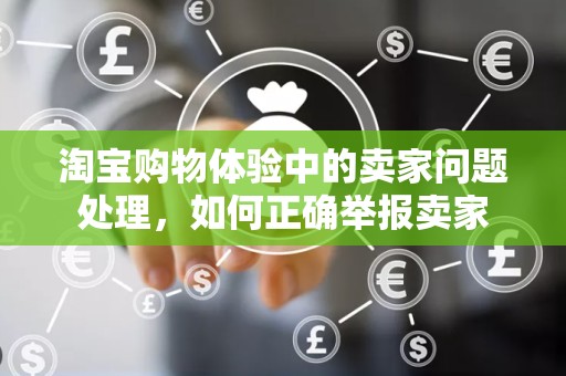 淘宝购物体验中的卖家问题处理，如何正确举报卖家