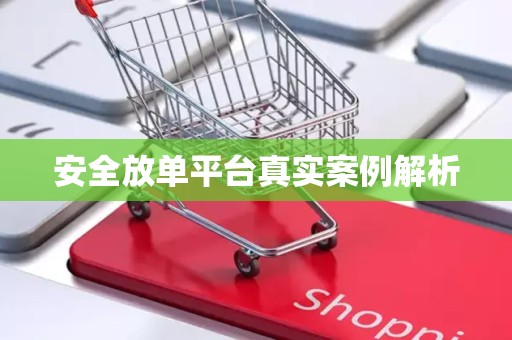 安全放单平台真实案例解析