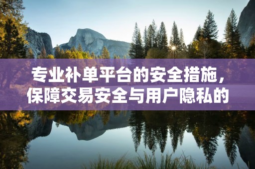 专业补单平台的安全措施，保障交易安全与用户隐私的关键要素