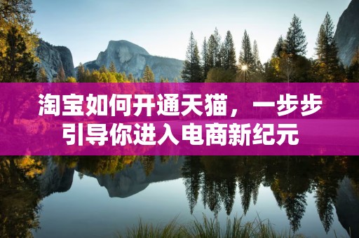 淘宝如何开通天猫，一步步引导你进入电商新纪元