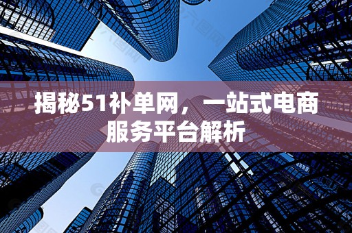 揭秘51补单网，一站式电商服务平台解析