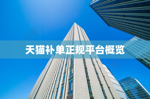 天猫补单正规平台概览