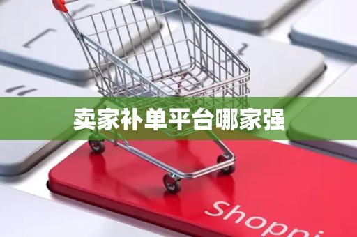 卖家补单平台哪家强