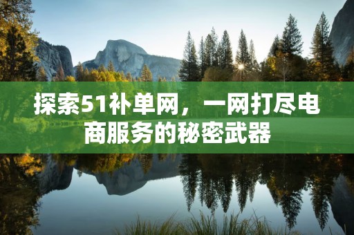 探索51补单网，一网打尽电商服务的秘密武器