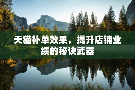 天猫补单效果，提升店铺业绩的秘诀武器