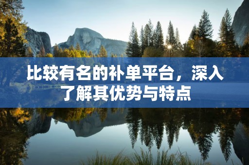 比较有名的补单平台，深入了解其优势与特点