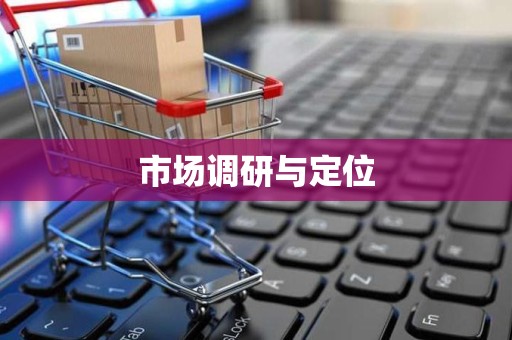 市场调研与定位