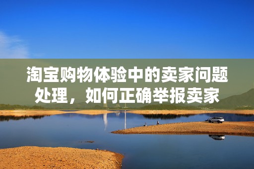 淘宝购物体验中的卖家问题处理，如何正确举报卖家